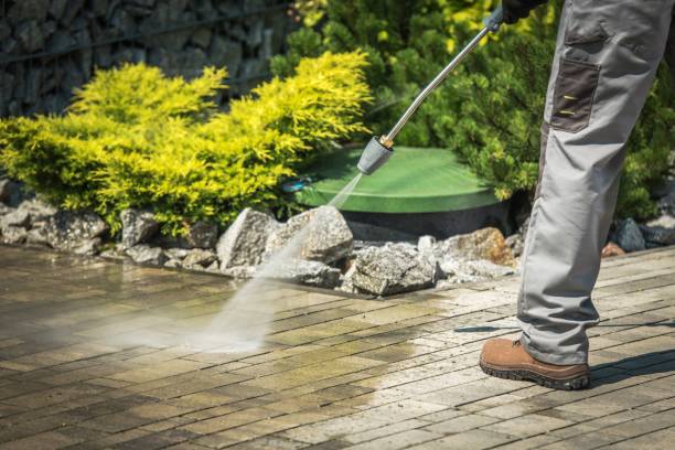  Bardmoor, FL Pressure Washing Pros